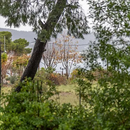 Marvelous, Secluded W/ 3 Bedroom , Pool & Garden, Kavos Βίλα