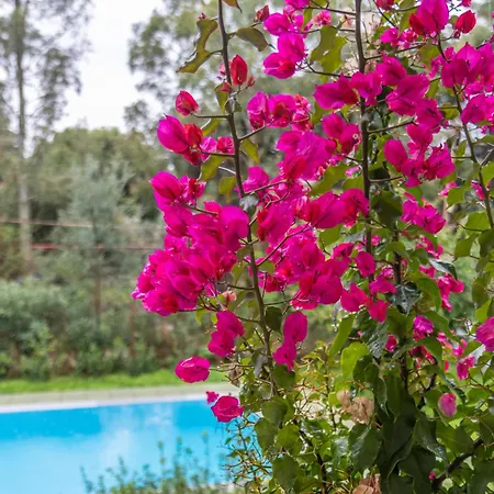 Marvelous, Secluded W/ 3 Bedroom , Pool & Garden, Kavos * Isthmia