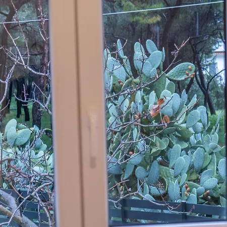 Marvelous, Secluded W/ 3 Bedroom , Pool & Garden, Kavos