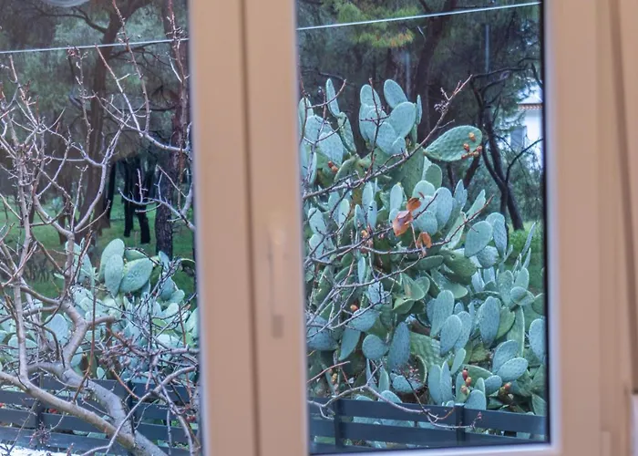 Marvelous, Secluded W/ 3 Bedroom , Pool & Garden, Kavos